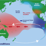 The La Niña Effect: Causes, Impacts, and Global Significance